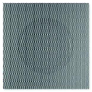 SS GRILL